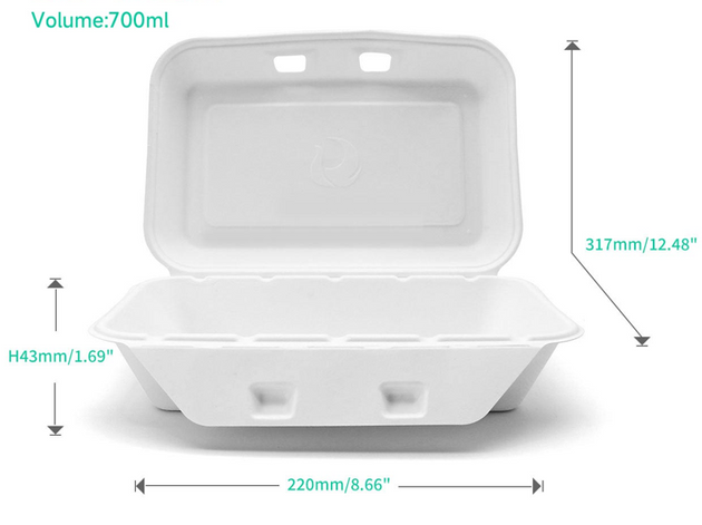 SC 0188 Clamshell Sugarcane 8″x5″ (200pcs)