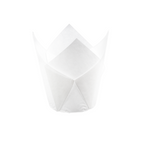 P60 Tulip Cups - White (500 Pcs)