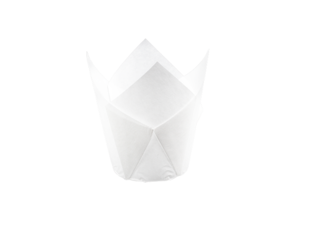 P60 Tulip Cups - White (500 Pcs)