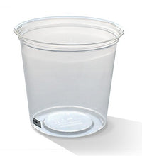 24oz PLA Deli Container (500pcS)