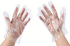 Poly Gloves - Extra Large - Clear (12 x 500=6000 Pcs)