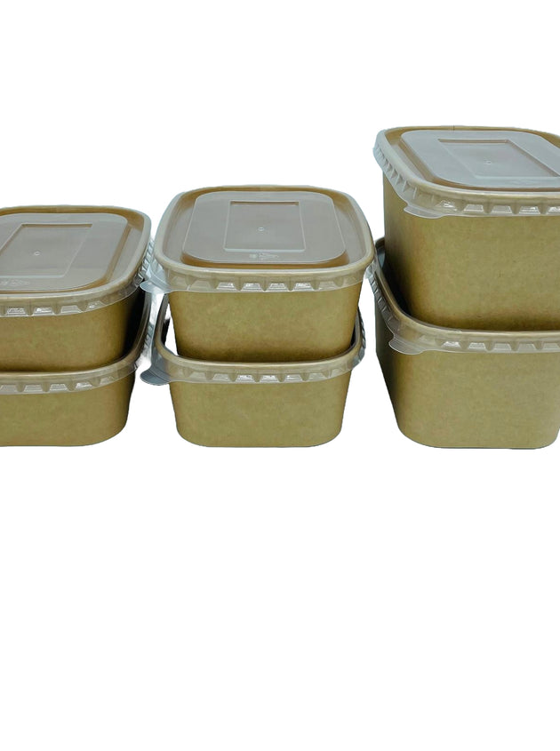 PP Coated Kraft Rectangular Container 500ml (300 Pcs)
