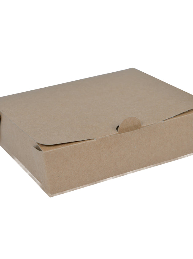 Large Takeaway Box (1000 ml) (300 Pcs)