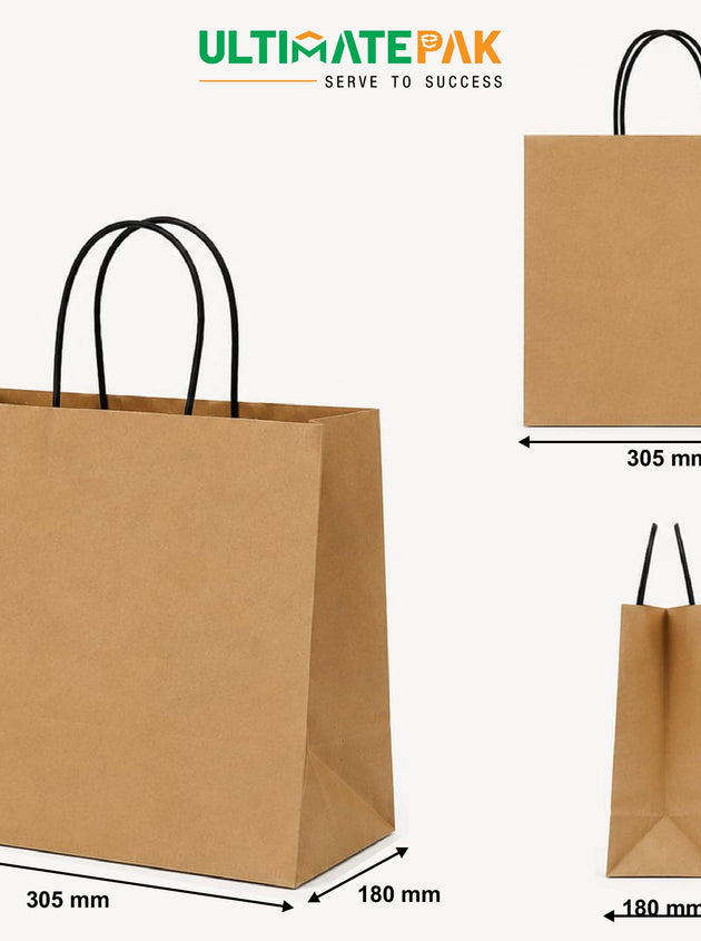 Medium Twisted Handle Bags- Craft - Ecovolve - 100 GSM (250 Pcs)