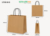 Medium Twisted Handle Bags- Craft - Ecovolve - 100 GSM (250 Pcs)