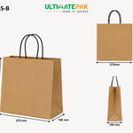 Small Twisted Hand Paper Bag - Craft - 100 GSM - EcoVolve (250 Pcs)
