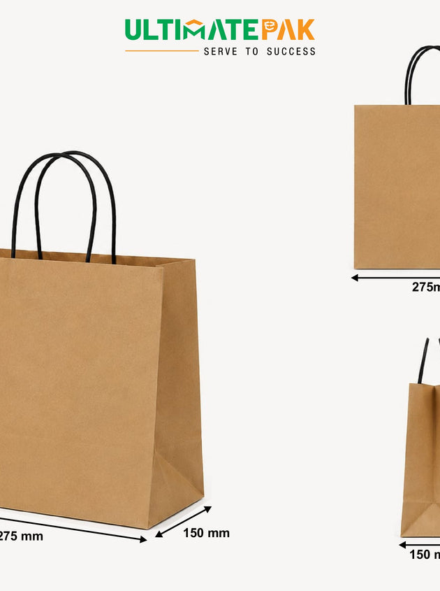 Small Twisted Hand Paper Bag - Craft - 100 GSM - EcoVolve (250 Pcs)