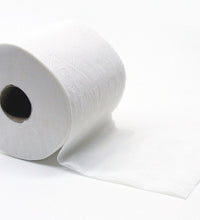 2 Ply Toilet Roll 400 Sheet - 100x100 (48 Roll)