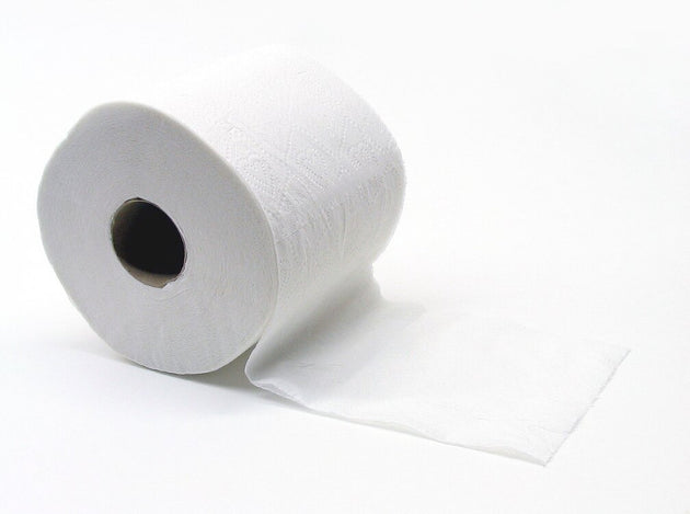 2 Ply Toilet Roll 400 Sheet - 100x100 (48 Roll)