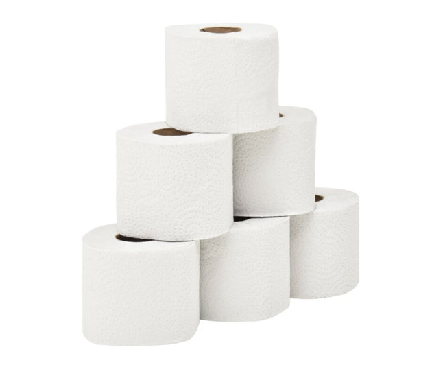 2 Ply Toilet Roll 400 Sheet - 100x100 (48 Roll)