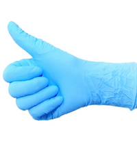 Vinyl Disposable Gloves -  Powder Free- Blue - Large (1000 Pcs)